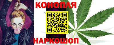 a pvp Новодвинск