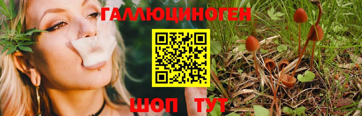 Псилоцибиновые грибы MAGIC MUSHROOMS Ступино